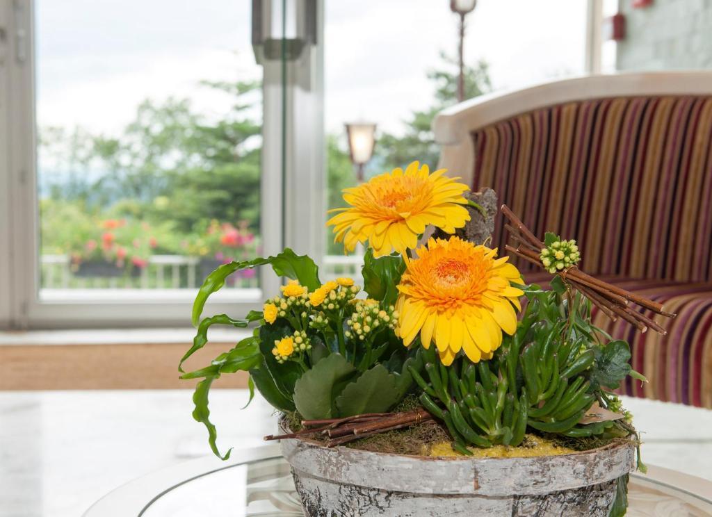 Alexain Hotel Restaurant & Wellness - Colmar Ouest Trois epis Bagian luar foto
